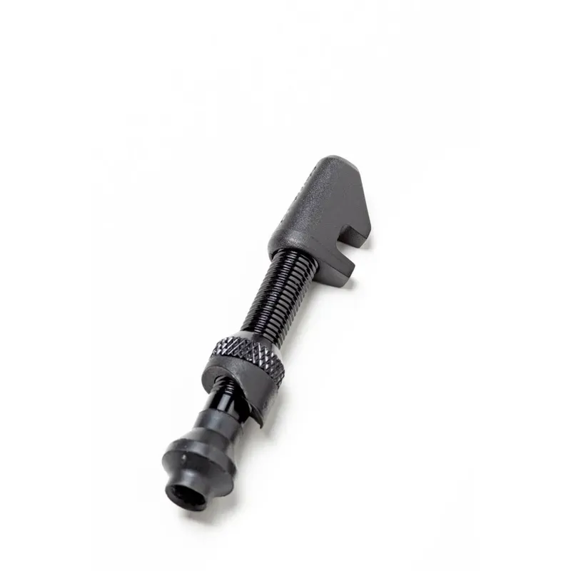 DT Swiss Lightweight Aluminium Tubeless Valve in Black-3