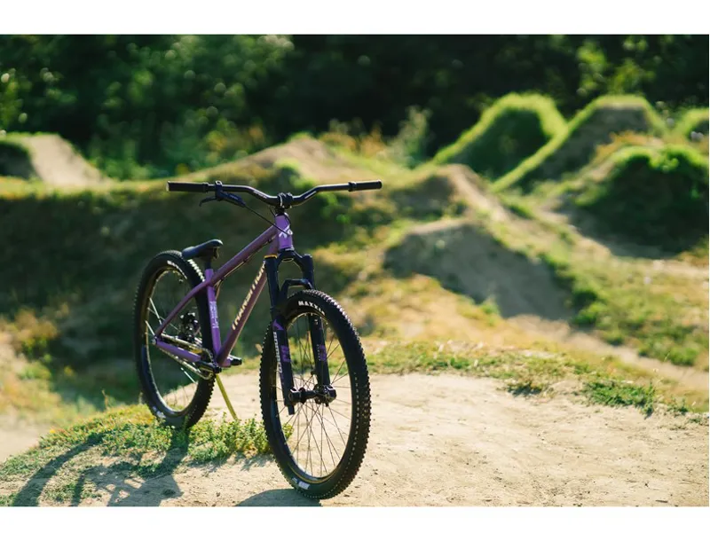 Transition PBJ Steel Hardtail Frameset - Purple/Chrome-4