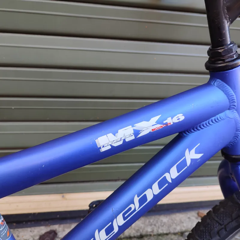 Ridgeback MX16 Kids Bike-2