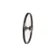 Raleigh Tru-Build 20 X 1.75 Junior Front Disc Wheel in Black