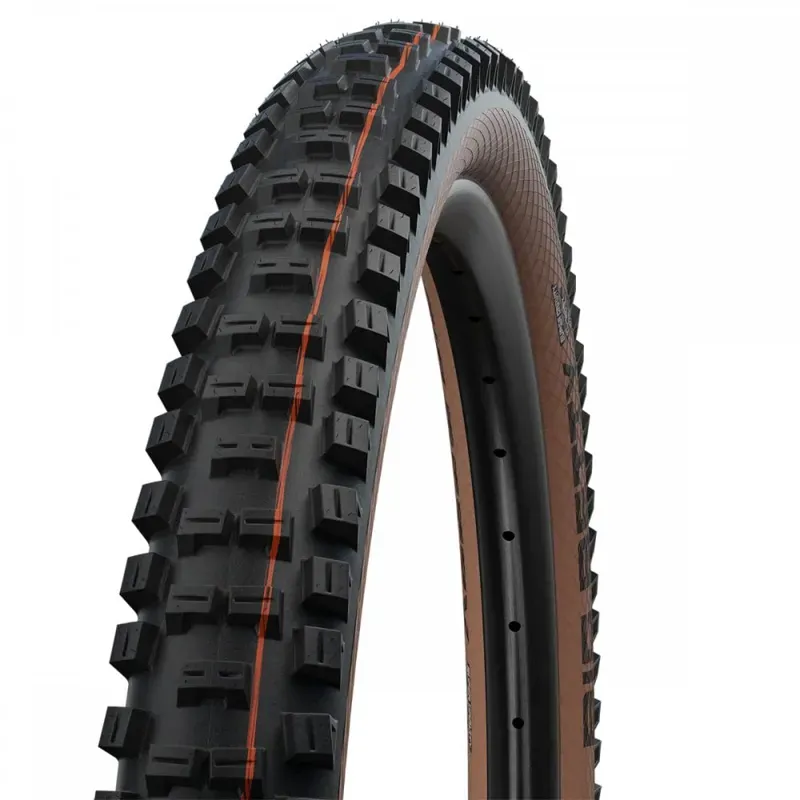 Schwalbe Big Betty Mountain Bike Tyre - 29x2