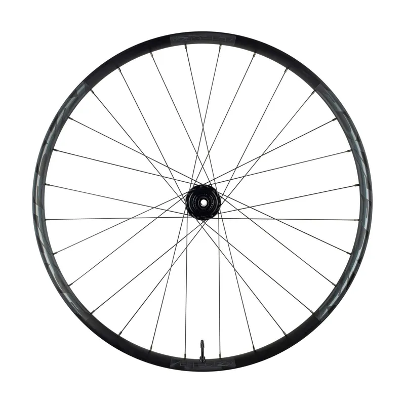 15x100 front wheel online 29